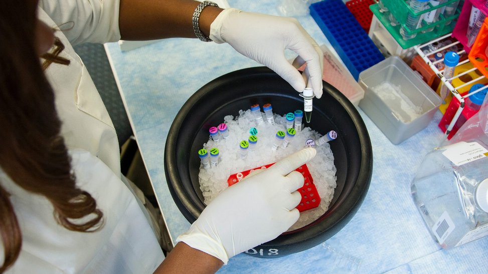 A laboratory researcher wearing vinyl gloves holding samples of genetic data in small test tubes.